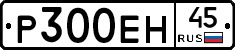 Р300ЕН45 - 