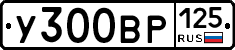 У300ВР125 - 