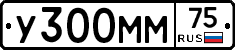 У300ММ75 - 