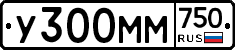 У300ММ750 - 
