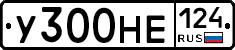 У300НЕ124 - 