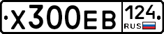 Х300ЕВ124 - 