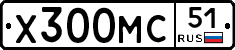Х300МС51 - 