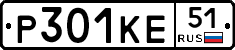 Р301КЕ51 - 