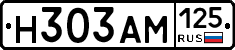 Н303АМ125 - 