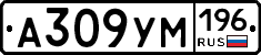 А309УМ196 - 