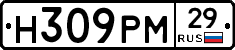 Н309РМ29 - 