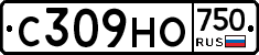 С309НО750 - 