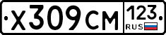 Х309СМ123 - 