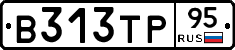 В313ТР95 - 