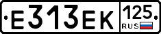Е313ЕК125 - 