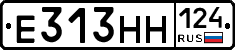 Е313НН124 - 