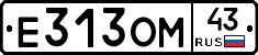 Е313ОМ43 - 
