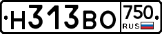 Н313ВО750 - 