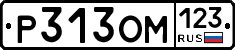 Р313ОМ123 - 