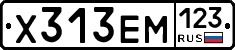 Х313ЕМ123 - 