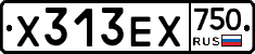 Х313ЕХ750 - 
