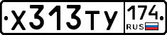 Х313ТУ174 - 