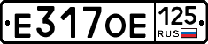 Е317ОЕ125 - 