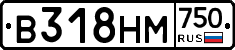 В318НМ750 - 