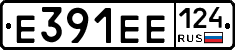 Е391ЕЕ124 - 