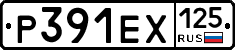 Р391ЕХ125 - 