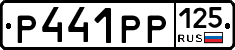 Р441РР125 - 