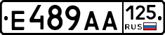 Е489АА125 - 