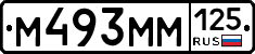 М493ММ125 - 