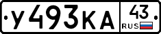 У493КА43 - 