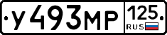 У493МР125 - 