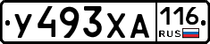 У493ХА116 - 