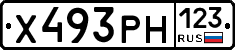 Х493РН123 - 