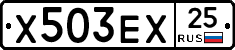 Х503ЕХ25 - 