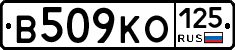 В509КО125 - 