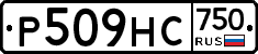 Р509НС750 - 