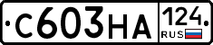 С603НА124 - 