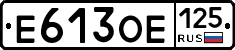 Е613ОЕ125 - 