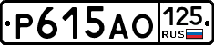 Р615АО125 - 