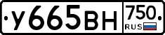 У665ВН750 - 