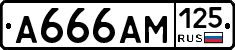 А666АМ125 - 