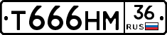 Т666НМ36 - 
