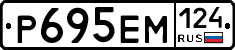 Р695ЕМ124 - 