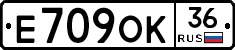 Е709ОК36 - 