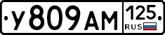 У809АМ125 - 