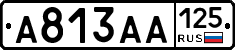 А813АА125 - 