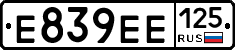 Е839ЕЕ125 - 