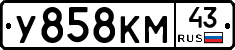 У858КМ43 - 