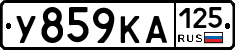 У859КА125 - 