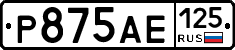 Р875АЕ125 - 